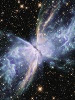 五维牛磺酸口服溶液